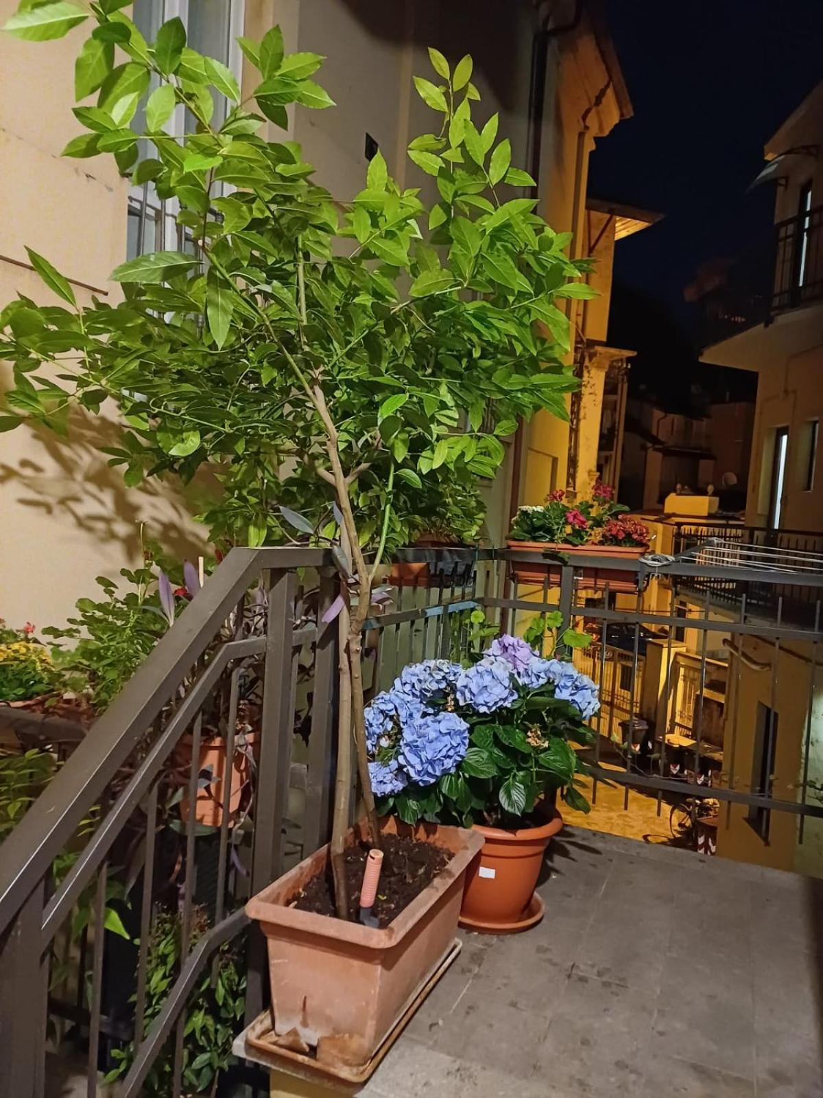 La Terrazzina, Silenzioso, Zona Piazza Gran Madre Apartment Turin Exterior photo